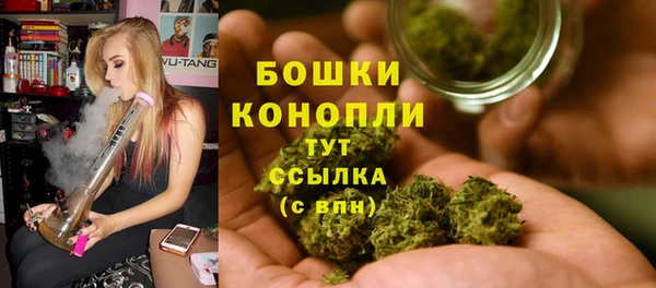 spice Баксан